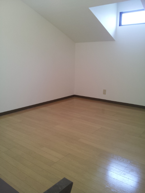 Other room space. Spacious loft. Ceiling is also high. 