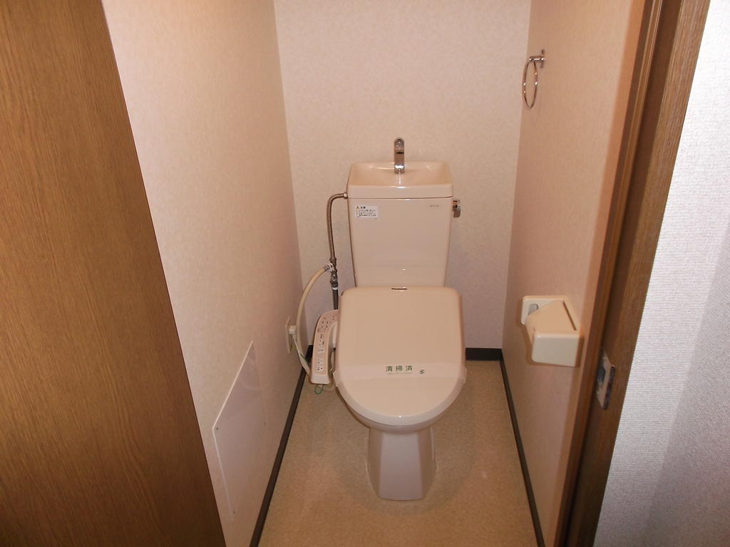 Toilet. With warm water washing toilet seat