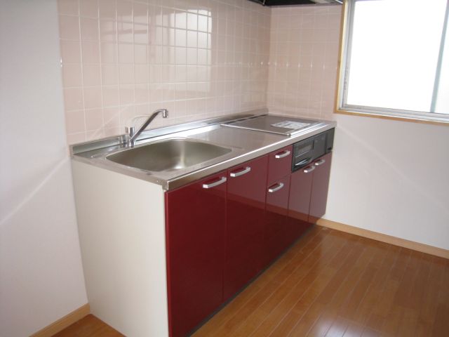 Kitchen. Shiny accent kitchen. 