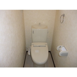 Toilet. Warm water washing heating toilet seat