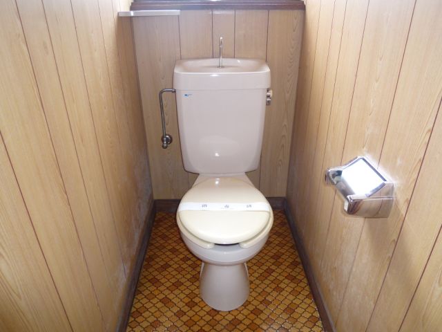 Toilet. It is a hygienic toilet that was the white tones. 