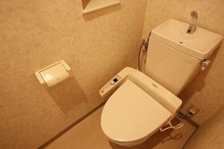 Toilet. With Washlet.