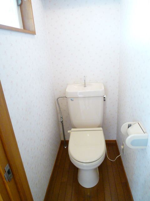 Toilet. Happy bath and separate toilet. 