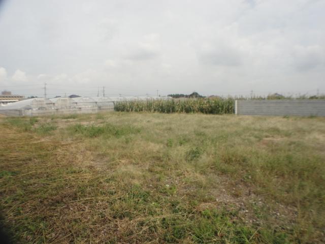 Local land photo