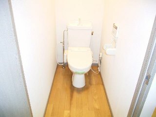 Toilet. It is the toilet of calm atmosphere.