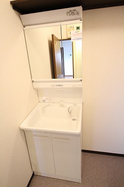 Washroom. New shampoo dresser