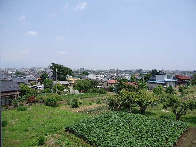 View. View from Japanese-style room