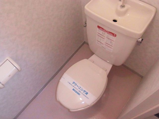 Toilet. Simple toilet