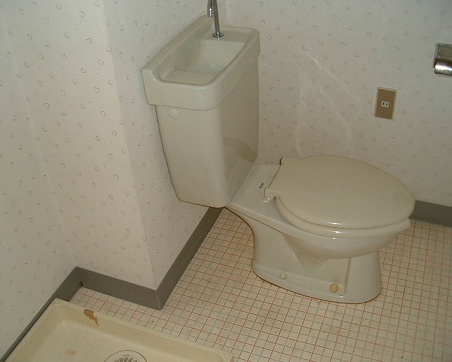 Toilet