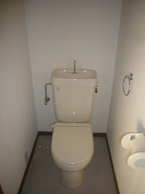 Toilet. Toilet