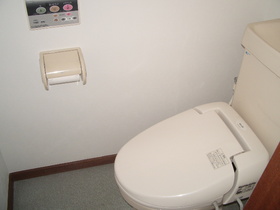 Toilet. It comes with warm water cleaning toilet seat. 