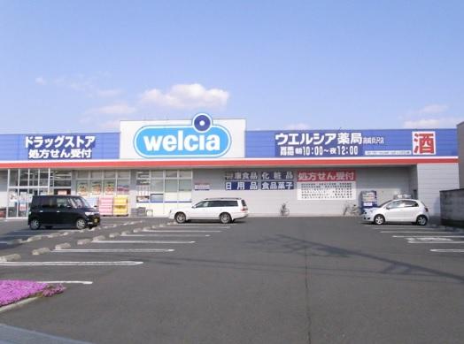 Drug store. Uerushia 497m to Takasaki Kaizawa shop