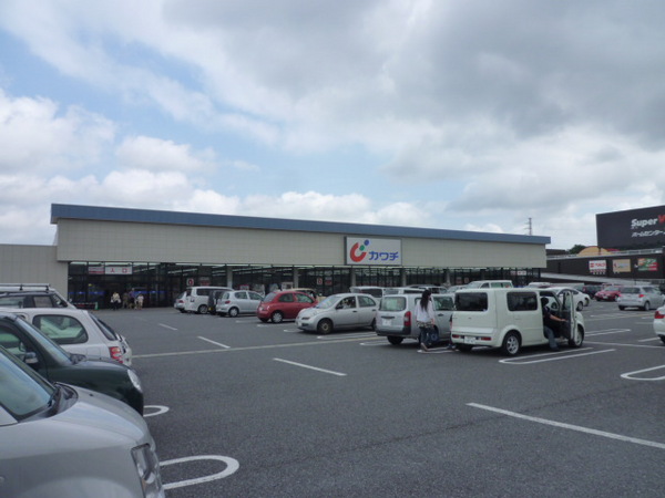 Dorakkusutoa. Kawachii chemicals Oyagi shop 612m until (drugstore)