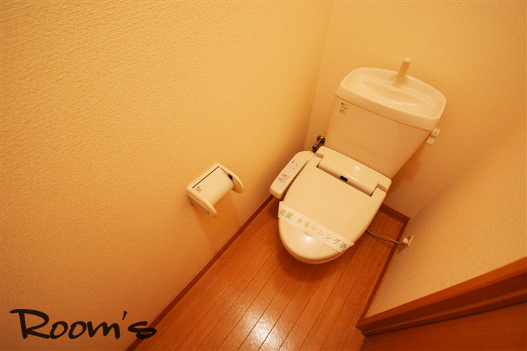 Toilet. Washlet toilet. 