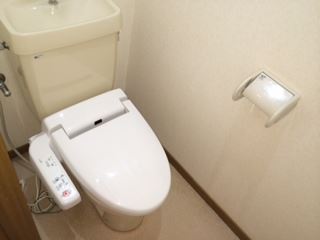 Toilet. It comes with a bidet. 