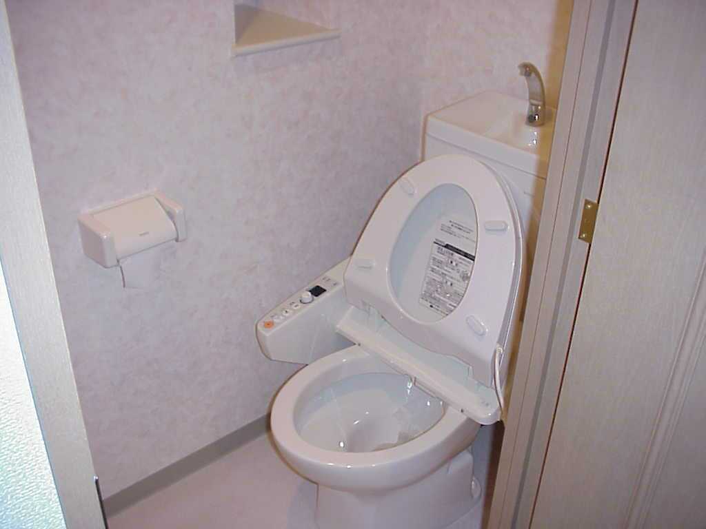 Toilet