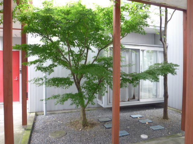 Other common areas. courtyard