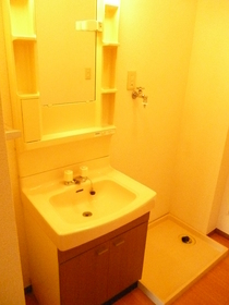 Washroom. Washbasin & Laundry Area