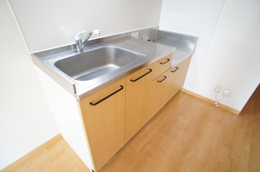 Kitchen. Spacious kitchen sink. 