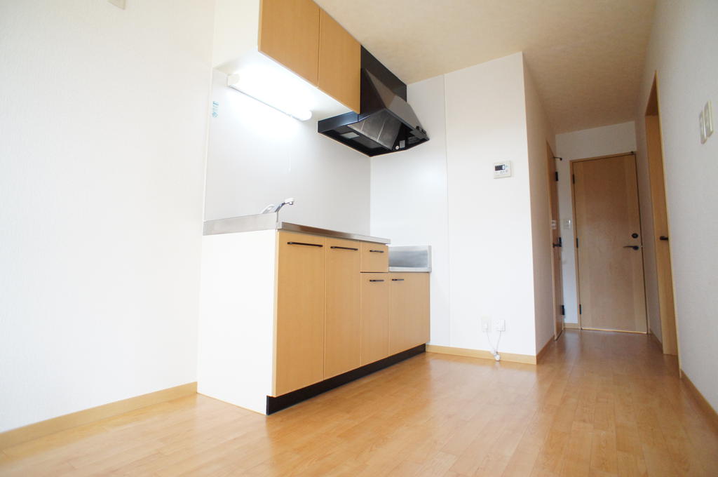 Kitchen. Functional clean kitchen. 