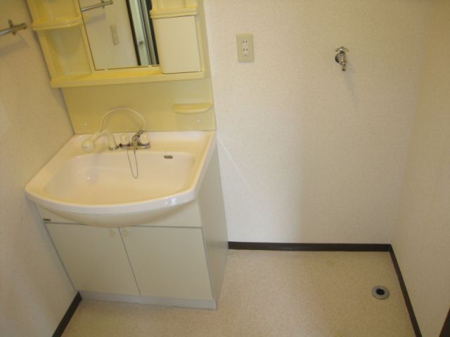 Washroom. Indoor Laundry Storage, Bathroom vanity