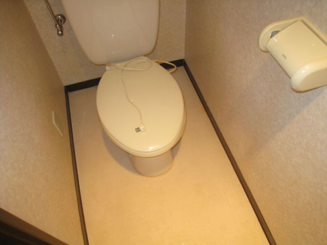 Toilet. It comes with a heating toilet seat