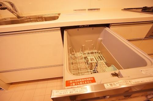 Other. With dishwasher!