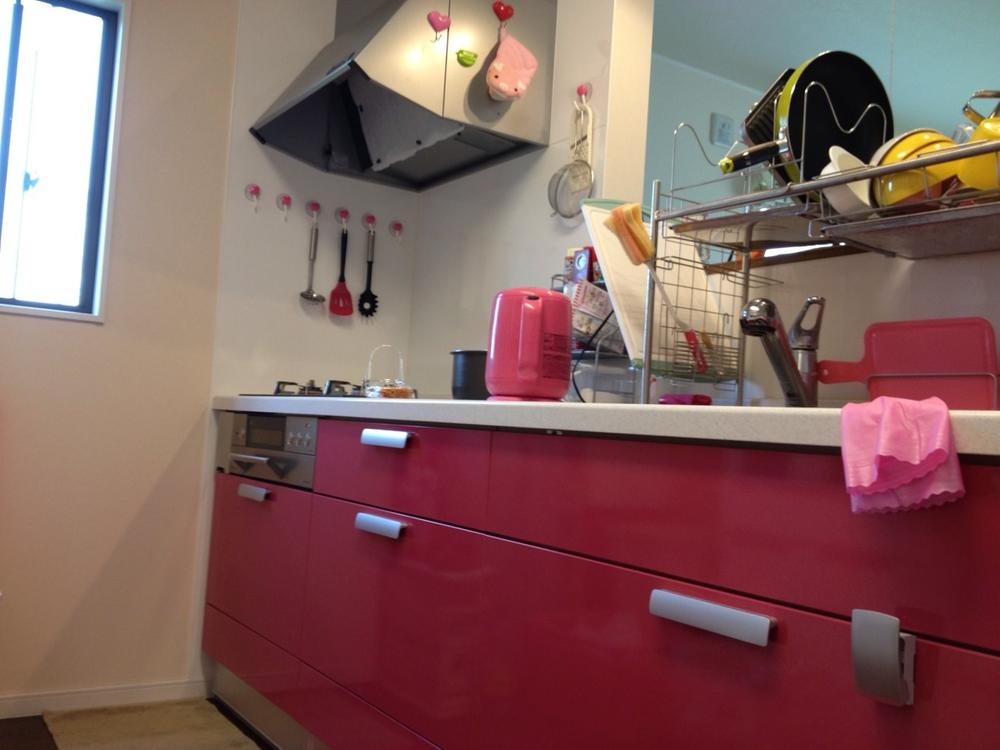 Kitchen. Raspberry pink system Kitchen! 