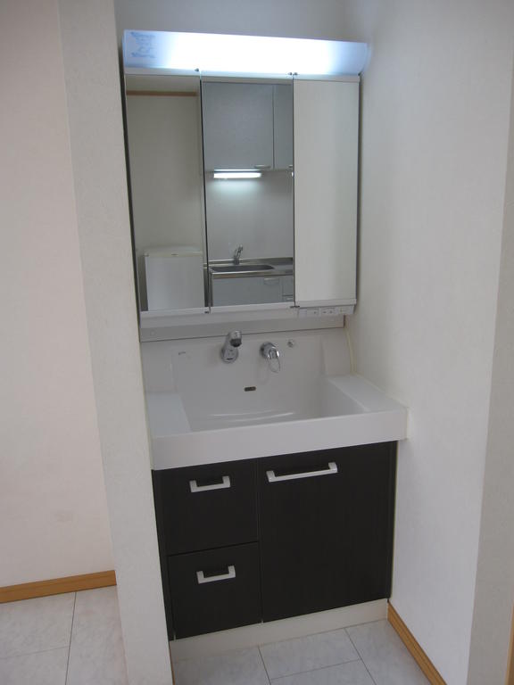 Washroom. Vanity is with a spacious three-sided mirror shower. 