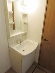 Washroom. Bathroom vanity