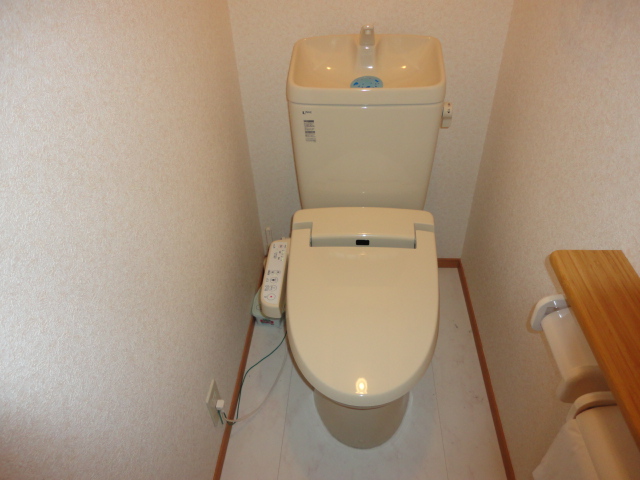 Toilet. Warm water washing heating toilet seat