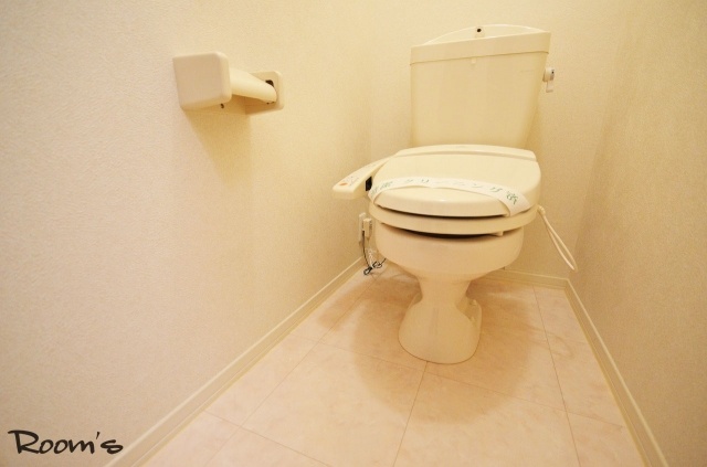 Toilet. Washlet toilet. Also shelf Yes convenient to the top.