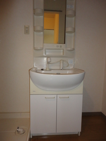 Washroom. Shampoo dresser