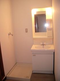 Washroom. Washbasin & Laundry Area