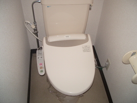 Toilet. It comes with warm water cleaning toilet seat. 