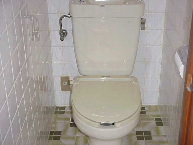 Toilet