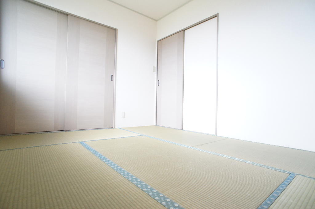 Other room space. Surprisingly calm Japanese-style space