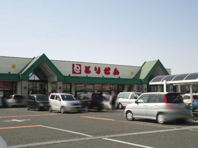 Supermarket. 752m until Torisen Misato shop