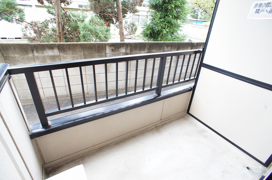 Balcony. Spacious balcony. 