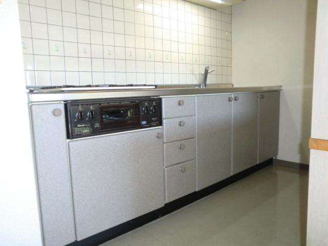 Kitchen. Spacious kitchen. Of course system