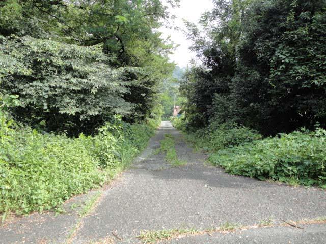 Local photos, including front road. Northeast side road