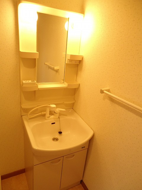 Washroom. Shampoo dresser