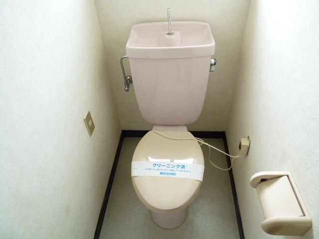 Toilet. Simple toilet.