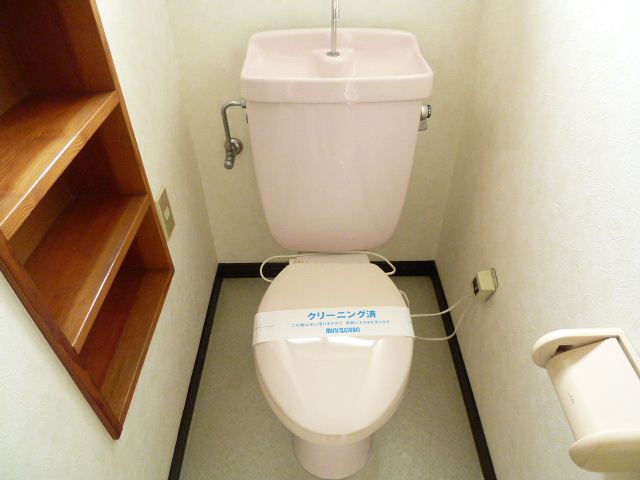 Toilet. Toilet with a shelf.