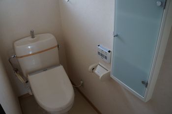 Toilet. And clean around the toilet with storage