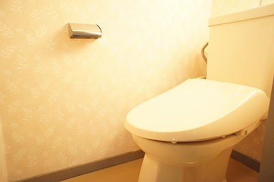 Toilet. Warm water washing toilet seat!