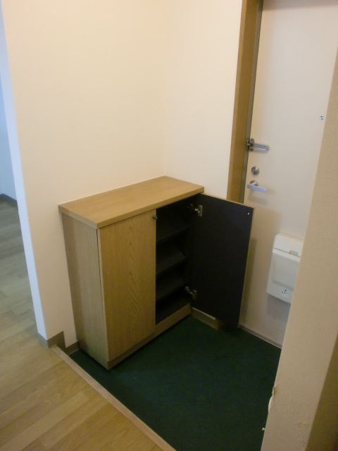 Entrance. Cupboard with