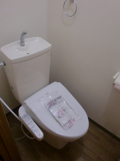 Toilet. Cleanliness, Bidet