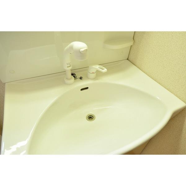 Wash basin, toilet.  ☆ Local Photos ☆ 