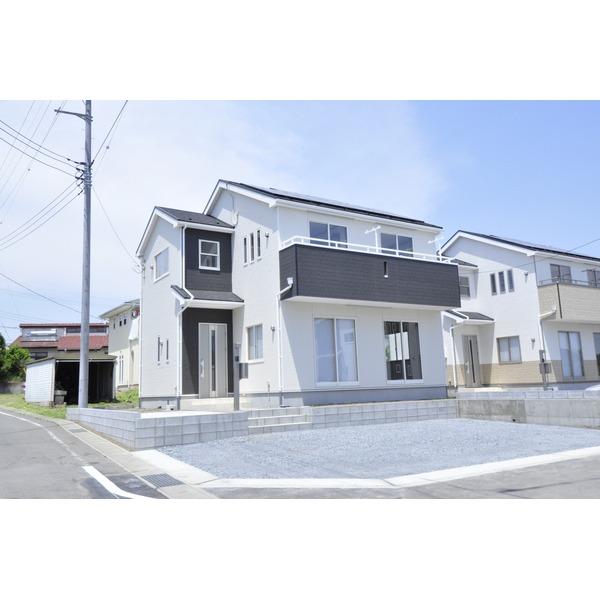 Rendering (appearance). The company construction cases